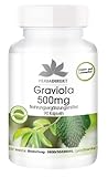 Graviola 500mg - 90 Kapseln für 90 Tage, Graviola-Fruchtpulver, vegan | HERBADIREKT by Warnke Vitalstoffe - Deutsche Apothekenqualität
