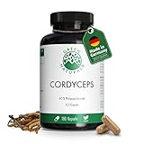 Cordyceps Sinensis | 180 Kapseln | Hochdosiert: 1400 mg Cordyceps pro Tagesdosis | 10:1 Extrakt | Vegan | Green Naturals®