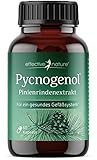 Pinienrindenextrakt hochdosiert - Original Pycnogenol - mit Vitamin C aus der Acerolakirsche - 60 vegane Kapseln - Reicht für zwei Monate - Vegan