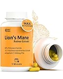 Lions Mane Ultraconzentriert 50%-Polysaccharides, 15%-βGlucanes, 100%-Fruchtkörper 7500mg | 5 Monate, Nur 1 Kaps./Tag | Hericium Erinaceus: Gedächtnis, Gehirn-, emotionale und Darmgesundheit