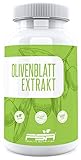 Olivenblatt Extrakt Kapseln - 20% Oleuropein - Vegan - 90 Kapseln - FSA Nutrition