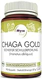 CHAGA Gold Pilzpulver-Kapseln | 93 Pilz-Kapseln mit je 750mg hochwertigem Pilzpulver | Vitalpilz Pulver | Superfood 100% vegan (CHAGA Gold)
