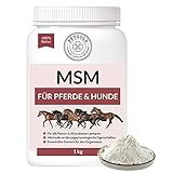 Petgold MSM Pferd Pulver 1000g für Hunde & Pferde Hochdosiert – Schwefel Methylsulfonylmethan – MSM Pulver Pferd & Hund