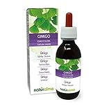 Ginkgo (Ginkgo biloba) Blätter Alkoholfreier Urtinktur Naturalma - Flüssig-Extrakt Tropfen 120 ml - Nahrungsergänzungsmittel - Veganer