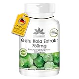 Gotu Kola 750mg - 120 Tabletten - hochdosierter Extrakt - vegan - mit Zink und Vitamin C | HERBADIREKT by Warnke Vitalstoffe - Deutsche Apothekenqualität
