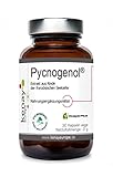 Pycnogenol - Extrakt aus Rinde der französischen Seekiefer - 100mg pro Tagesdosis - pflanzliche Kapsel - Vegan - Ohne Magnesiumstearat - 30 Kapseln vege KENAY EUROPE