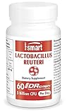Lactobacillus Reuteri - Nahrungsergänzungsmittel für Verdauungskomfort - 5 Milliarden KBE pro Tag - Trägt zu einer gesunden Darmtätigkeit bei - GVO-frei - 60 DR Caps™ - Glutenfrei - Supersmart