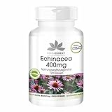 Echinacea 400mg - 120 Kapseln - hochdosiert - vegan | HERBADIREKT by Warnke Vitalstoffe - Deutsche Apothekenqualität