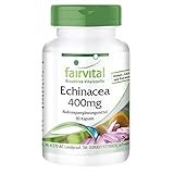 Fairvital | Echinacea 400mg - 90 Kapseln - 400mg Echinacea purpurea Pulver pro Kapsel - HOCHDOSIERT - VEGAN