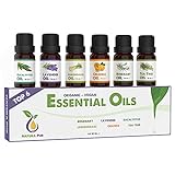 Ätherische Öle Set BIO - 100% naturrein, vegan - Duftöle für Diffuser - Aromaöle für Aromatherapie, 6 x 10ml (Rosmarin, Lavendel, Eukalyptus, Zitronengras, Orange, Teebaum)
