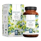 NATURTREU® Gedankengut Löwenmähne Pilz & Ginkgo Biloba Komplex - mit Brahmi-Extrakt Cholin & L-Cystein - 120 Kapseln vegan mit 30% Polysaccharide und 5% Beta-Glucane