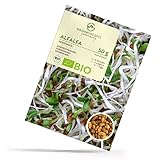 BIO Alfalfa Sprossen Samen 50g - Microgreens Saatgut ideal für die Anzucht von knackigen Keimsprossen im Keimglas