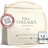 Shine Collagen Pulver 300g - 100% Collagen Peptide, Premium Hydrolysat Typ 1, 2 und 3, Perfekte Löslichkeit, Geschmacksneutral