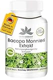 Bacopa Monnieri Kapseln - 60 Kapseln - Brahmi Extrakt - enthält 20% Bacoside - vegan | HERBADIREKT by Warnke Vitalstoffe - Deutsche Apothekenqualität