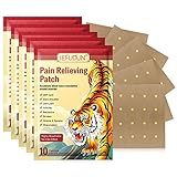Schmerzlinderung Patch, 50Pcs/10Pack Chinesische Ferninfrarot Pflaste - Schnelle und Lang anhaltende Schmerzlinderung für Muskeln und Gelenke