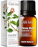Gya Labs Nelkenöl - Natürlich für Mundpflege, Haare, Haut, Zähne & Zahnfleisch. Erdiger, würziger Duft. 100% natürlich (10 ml)