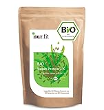 nur.fit by Nurafit BIO Veganer Protein Mix 1 kg – Reisprotein & Erbsenprotein Mischung – pflanzliches Protein Pulver mit 87% Eiweiß – ideales Aminosäurenprofil mit 70/30 Verhältnis