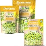 ZenGreens® - Bio Alfalfa Sprossen Samen - Wähle zwischen 10g, 200g und 500g - Alfalfa Samen Keimrate von über 97% - Luzerne Keimsprossen - Ideal zum Sprossen ziehen im Sprossenglas - Microgreens
