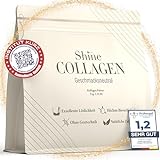 Shine Collagen Pulver - 100% Collagen Peptide, Premium Hydrolysat Typ 1, 2 und 3, Perfekte Löslichkeit, Geschmacksneutral (500g)