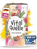 Vitalquelle Superfood Smoothie Pulver Saftkur - Rote Bete, Maca, Guarana, OPC, Reishi, Kurkuma, Acai-Pulver, Protein Pulver vegane Nährstoffe